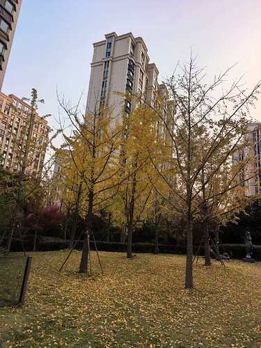 微信图片_20251203085010_8_706